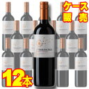 【送料無料】 テラノブレ　カベルネソーヴィニヨン　（SC）　12本セット・ケース販売 TERRANOBLE　CABERNET SAUVIGNONr チリ/チリワイン/赤ワイン/中口/750ml×12【ケース売り】