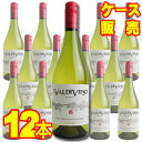 【取り寄せ商品】【バルディビエソ】 バルディビエソ ソーヴィニヨン・ブラン 12本セット・ケース販売 チリワイン/白ワイン/辛口/750ml×12【モトックス】...