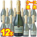 【取り寄せ商品】【バルディビエソ】 バルディビエソ エクストラ ブリュット 12本セット・ケース販売 チリワイン/泡/辛口/750ml×12【モトックス】【スパ...