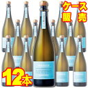 【送料無料】【サンテロ】プロセッコ スプマンテ エクストラ・ドライ 12本セット・ケース販売 イタリアワイン/泡/辛口/750ml×12【モトックス】【スパーク...