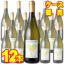 【サンテロ】ヴィッラ・ヨランダ モスカート・ダスティ 750ml 12本セット・ケース販売 イタリアワイン/泡/甘口/ 750ml × 12 【モトックス】【ス...
