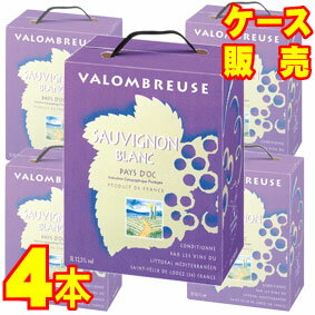 楽天ヒグチワイン Higuchi Wine【送料無料】【箱ワイン】ジャンジャン・ソーヴィニヨン・ブラン　（白）　3L　バッグ・イン・ボックスワイン　4箱セット　フランスワイン/白ワイン/パック/辛口/3000ml×4【大容量ワイン】【バッグインボックスワイン】【BOXワイン】【ボックスワイン】