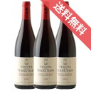 【正規品・取り寄せ品】【送料無料】エトナ ロッソ 3本セット テッレ ネーレ /イタリアワイン/シチリア/赤ワイン/フルボディ/750ml×3【フードライナー】【自然派ワイン ビオワイン 有機ワイン 有機栽培 bio オーガニック】【1315】