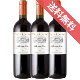 【送料無料】ヴィラ プッチーニ ピノ ネロ 3本セット Villa Puccini Pinot Neroイタリアワイン/赤ワイン/ミディアムボディ/750ml 【楽天 通販 販売】【まとめ買い 業務用にも！】