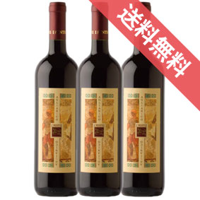 アリアニコ 3本セット イ ペントゥリ /イタリアワイン/カンパーニヤ/赤ワイン/フルボディ/750ml×3