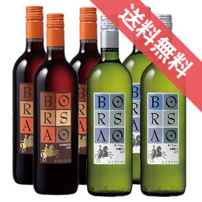 楽天ヒグチワイン Higuchi Wine【送料無料】【正規品】ボデガ・ボルサオ　クラシコ　ティント & ブランコ　計6本セット スペインワイン/赤白ワイン/ミディアムボディ・辛口/750ml×6/メルシャン/キリンビール【希少品・取り寄せ品】【楽天 通販 販売】【まとめ買い 業務用にも！】