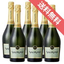 【取り寄せ商品】【送料無料】バルディビエソ　エクストラ・ブリュット　6本セットValdivieso Extra Brut チリワイン/セントラル/スパークリングワイン/辛口/750ml×6【チリワインセット】【スパークリングワインセット】