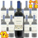 【送料無料】 テラノブレ　カベルネ　ソーヴィニヨン　レセルバ 　12本セット・ケース販売 Terra Noble CABERNET SAUVIGNON Reserva チリ/チリワイン/赤ワイン/中口/750ml×12【ケース売り】