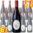 【送料無料】クロード ヴァル 赤 750ml × 6本 フランス 赤ワイン ミディアムボディ ケース販売 業務用 モトックス