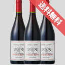 【正規品・取り寄せ品】【送料無料】フォン・デュ・ヴァン コート・デュ・ローヌ レ・プロメス 赤 3本セット フランス/赤ワイン/ミディアムボディ/750ml×3/ビオロジック 【自然派ワイン ビオワイン 有機ワイン 有機栽培 bio オーガニック】【モトックス】