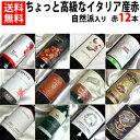 ■□送料無料□■ 自然派ワイン5本入り ちょっと高級なイタリア産赤ワイン12本セットVer.13 北から南まで【イタリアワインセット】【赤ワインセット】