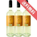 ビオ・ビオ シャルドネ 3本セット Bio Bio Chardonnay チェーロ・エ・テッラ/イタリアワイン/ヴェネト/白ワイン/辛口/ 750ml × 3 /ビオロジック/CCPB認証 【自然派ワイン ビオワイン 有機 有機栽培 bio オーガニック】