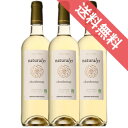 【正規品・取り寄せ品】ナチュラリス シャルドネ 750ml 3本セット ジェラール ベルトラン/フランスワイン/ラングドック・ルーション/白ワイン/辛口 すっきり/AB/ビオロジック/750ml×3/ファインズ/サントリー【自然派ワイン ビオワイン 有機 有機栽培 bio】