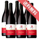 【正規品・取り寄せ品】エトナ ロッソ 750ml 6本セット ムルゴ/イタリアワイン/シチリア/赤ワイン/ミディアムボディ フルーティー/中口/サステイナブル/750ml×6/ファインズ/サントリー【自然派ワイン ビオワイン 有機ワイン 有機栽培 bio オーガニック】