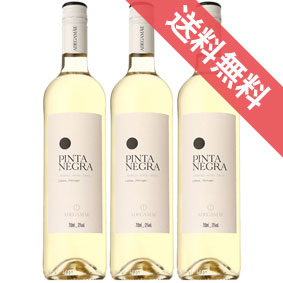 【正規品・取り寄せ品】ピンタ ネグラ ブランコ 750ml 3本セット アデガマイン/ポルトガルワイン/リスボン/白ワイン/辛口 すっきり/ 750ml × 3 /ファインズ/サントリー【まとめ買い 業務用 にも！ 】