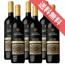 【正規品・取り寄せ品】レセルバ 750ml 6本セット カスティーリョ アルマド/スペインワイン/アラゴン/カンポ デ ボルハ/赤ワイン/ミディアムボディ ふくよか/中口/サステイナブル/ 750ml × 6 /ファインズ/サントリー【自然派ワイン ビオワイン 有機栽培 bio 】