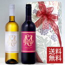 スペイン・カジュアルワイン 赤白 の 2本組ギフトセット 紅白 3000円 送料無料 750ml ちょっとした 贈り物 に最適です 二本組ワインセット お礼 お...