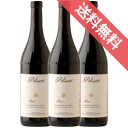 【正規品・取り寄せ品】バルベーラ ダルバ ピアーニ 750ml 3本セット Barbera d'Alba DOC Piani ペリッセロ/イタリアワイン/ピエモンテ州 トレイゾ/赤ワイン/フルボディ/重口/ 750ml × 3 【フードライナー】【1835】【まとめ買い 業務用 にも!】