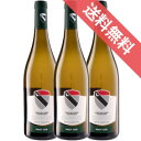 【正規品・取り寄せ品】【カーヴ・デ・オンズ・コミュヌ】ヴァッレ・ダオスタ ピノ・グリ 750ml 3本セット イタリアワイン/白ワイン/辛口/ 750ml × 3 【モトックス】
