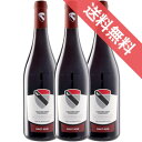 【正規品・取り寄せ品】【カーヴ・デ・オンズ・コミュヌ】ヴァッレ・ダオスタ ピノ・ノワール 750ml 3本セット イタリアワイン/赤ワイン/ミディアムボディ/ 750ml × 3 【モトックス】