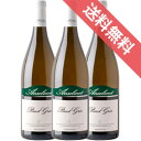 【正規品・取り寄せ品】ピノグリ 750ml 3本セット アンセルメ/イタリアワイン/ヴァッレ ダオスタ州 ヴィルヌーヴ/白ワイン/辛口/ 750ml × 3 【フードライナー】【112】【まとめ買い 業務用 にも!】