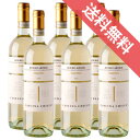 【正規品・取り寄せ品】ロエロ アルネイス “アンテリージオ” 750ml 6本セット Roero Arneis DOCG Anterisio カッシーナ キッコ/イタリアワイン/ピエモンテ州 カナーレ/白ワイン/辛口/ 750ml × 6 【フードライナー】【1641】【まとめ買い 業務用 にも!】