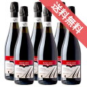 【正規品・取り寄せ品】ランブルスコ セッコ 750ml 6本セット Lambrusco Secco Grasparossa di Castelvetro DOC マニカルディ/イタリアワイン/エミリア ロマーニャ州 モデナ/赤ワイン/微発泡/フルボディ/重口/ 750ml × 6【フードライナー】【241】