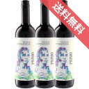 テッレ・チェヴィコプリモ・フィオーレ サンジョヴェーゼ 750ml 3本セットPrimo Fiore SangioveseSauvignon イタリアワイン/エミリア・ロマーニャ/赤ワイン/ミディアムボディ/中口/ 750ml × 3 【モトックス】【まとめ買い 業務用 にも!】