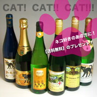 おすすめのお買い得ワインセット！ 猫好きの方のプレゼントに！　猫ワイン＆猫ボトルのワインセット