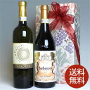 イタリア最高ランク DOCG 赤白ワイン ピエモンテ州 バルバレスコ & ガヴィ　2本組み飲み比べギフトセット　送料無料【2本セット】 [ギフト・ラッピング・のし・メッセージカード　OK！]お祝い 結婚祝い 誕生祝い 結婚記念日 贈り物 誕生日プレゼント 開店祝い