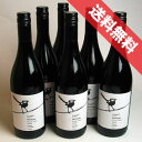 【送料無料】ローガン ウィマーラ ピノノワール 6本セット Logan Weemala Pinot Noir オーストラリアワイン/赤ワイン/ミディアムボディ/750ml×6 【赤S】【楽天 通販 販売】【まとめ買い 業務用にも!】