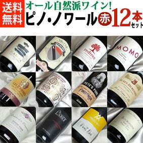 楽天ヒグチワイン Higuchi Wine■□送料無料□■　ピノピノ大作戦・豪華版　オール自然派ピノノワール12本セットVer.15【ピノ・ノワール　セット】【赤ワインセット】【家呑み】【うち飲み】【オンライン飲み会】