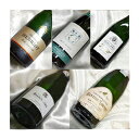 シャンパンづくし　キレを感じる　ハーフボトル 飲み比べ 5本セット Ver.4　【ハーフワインセット】【シャンパン スパークリングワイン セット】【ハーフボトルセット】【楽天 通販 販売】