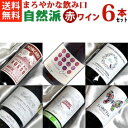 ■送料無料■自然派赤ワイン・ベーシック　飲み比べ6本セットVer.12 エコセール認証ワイン・有機栽培ワインも入っています！