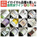 ■□送料無料□■　自然派赤白ワイン　イロイロな品種を楽しむ飲み比べ12本セットVer.16　ビオロジックワインもたくさん入っています！【赤白ワインセット】【自然派ワイン ビオワイン 有機ワイン bio オーガニックワインセット】【オンライン飲み会】