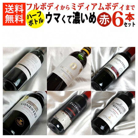 ウマくて濃いめの赤ハーフボトル　飲み比べ6本セットVer.11 フルボディからミディアムボディまで！ 【ギフト ワイン お酒】【ハーフ 375ml×6】【ハーフワインセット】【赤ワインセット】【楽天 通販 販売】