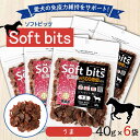 溝陸舎 犬里食堂 soft bits ソフトビッツ ビッツミート　うまビッツミート　うま 40g×6袋