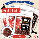 溝陸舎 犬里食堂 soft bits ソフトビッツ ビッツミート　しかビッツミート　しか 40g×6袋