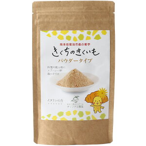七城町特産品センター きくちのきくいも 菊芋パウダー 50g 道の駅 七城町メロンドーム 熊本県 菊池 菊芋 粉 簡単 手軽 美味しい イヌリン