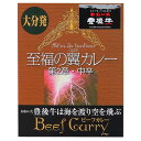 【佐伯海産】至福の翼カレー 中辛 200g人気 カレー 大分県 お土産 便利 美味しい 豊後牛 レトルトカレー ギフト 景品 賞品 贈答 お祝い 内祝い お中元 イベント 結婚式 二次会 暑中見舞い 翼カレー 中辛 おんせん県 おおいた ビーフカレー