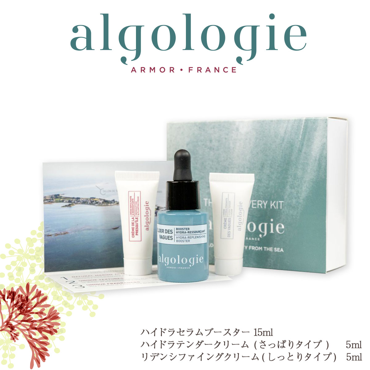 DISCOVERY KIT ハイドラセラムブースター 15ml・ハイドラテンダークリーム 5ml・リデンシファイングクリーム 5ml トライアルキット うるおい 保湿 エイジングケア 朝夜兼用 濃密クリーム 美肌 美容効果 抗酸化作用 高保湿 ハリ肌/敬老の日