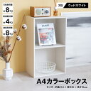 コーナンオリジナル LIFELEX 2段A4カラーボックス WWH／収納 家具 サイズ：約幅41.8×奥行29.0×高さ70.0cm ライフレックス