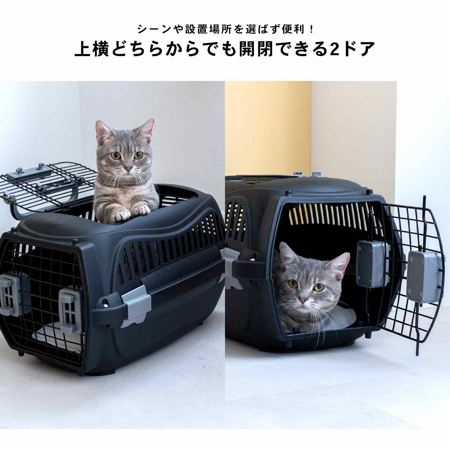 コーナンオリジナル LIFELEX 2ドアハードキャリー ワイドハンドル ブラック S／超...