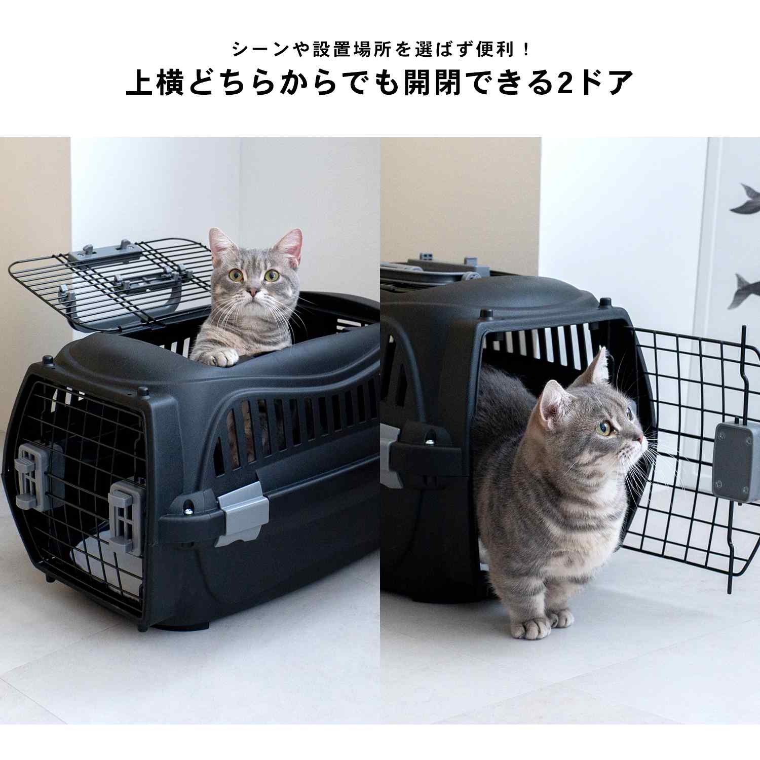 ★限定クーポン！7/4 20:00-7/11 1:59★ コーナンオリジナル LIFELEX 2ドアハードキ...