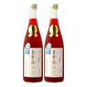 【青紫蘇農場】青紫蘇伝説 2本セット 720ml×2本 / 紫蘇 青紫蘇 赤紫蘇 大葉 ドリンク ジュース 熊本県産 ギフトセット