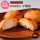 【押川春月堂】ちーず饅頭 10個入 / チーズ饅頭 饅頭 宮崎銘菓 チーズ スイーツ お菓子 プレゼント 贈り物 ギフト お中元 お歳暮 宮崎名物 一口サイズ