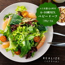 ★最大2400円OFFクーポン!~6/11 01:59★【Realize】ベビーリーフ 100g(6~10種類MIX)×4袋入り / 大分県産 国産 ベビーリーフ 九州 産地直送 新鮮 採れたて 冷蔵便 サラダ カルパッチョ 新鮮 葉っぱの赤ちゃん 大分県 豊