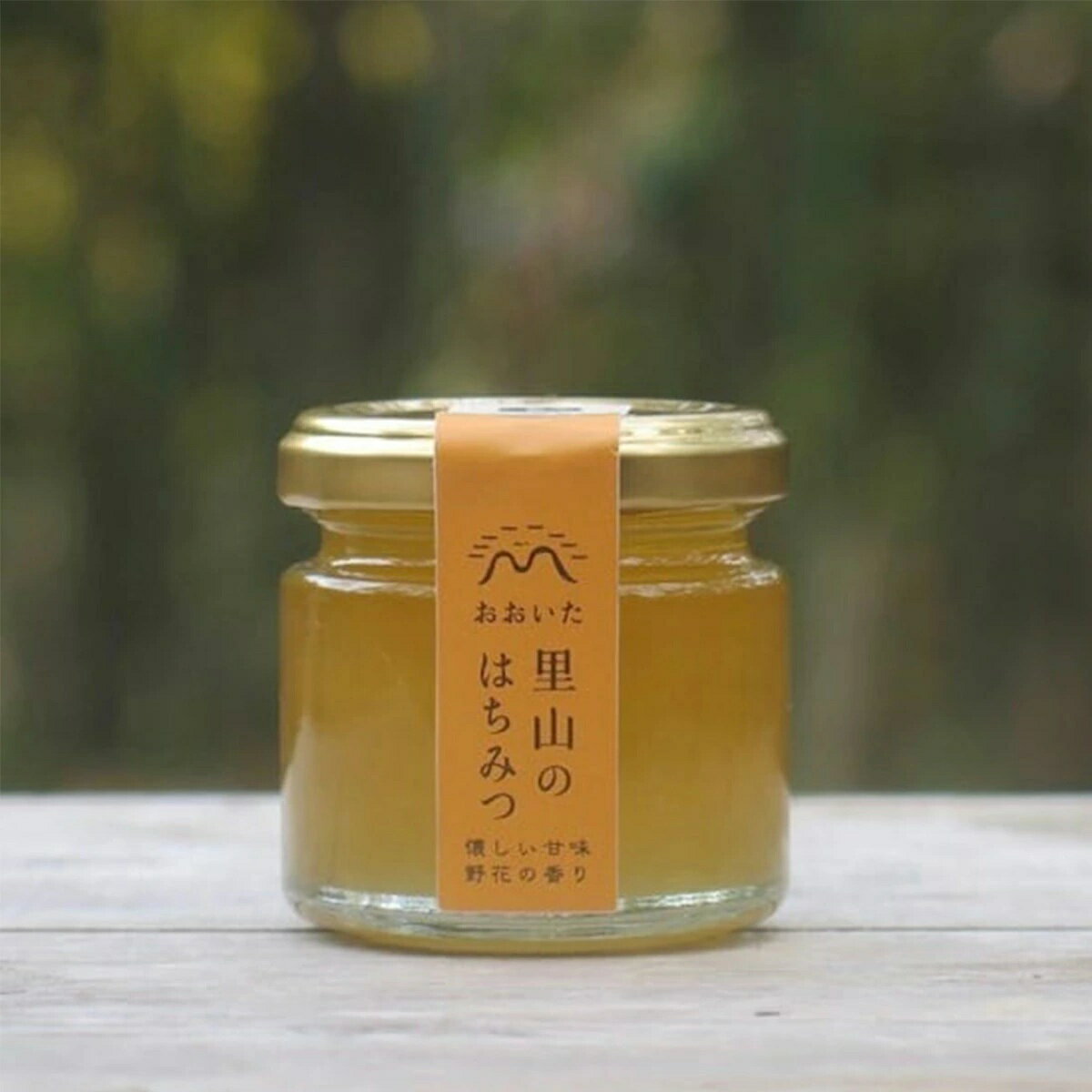 ★エントリーP10★11/20 20:00-11/27 1:59 【枝次養蜂園】里山のはちみつ 90g / 蜂蜜 ハチミツ 大分 国産..