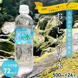 【レビューを書いてクーポンGET】水 シリカ水 天然水 天然ミネラルウォーター おいしいシリカ水 500ml×24本 1ケース 配送無料 シリカウォーター