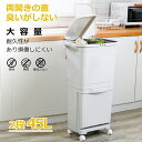 ゴミ箱 45L 単品 ニオイ密閉 おしゃれ 密閉パッキン付き 省スペース プラゴミ 捨てやすい ポリプロピレン キャスター付き 移動 丈夫 頑丈 屋外 屋内 外置き インテリア雑貨 北欧雑貨